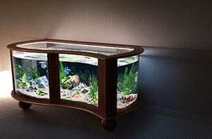 3ds max aquarium