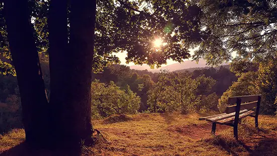 Saint-Romain-d'Ay - Ardèche | artHansi